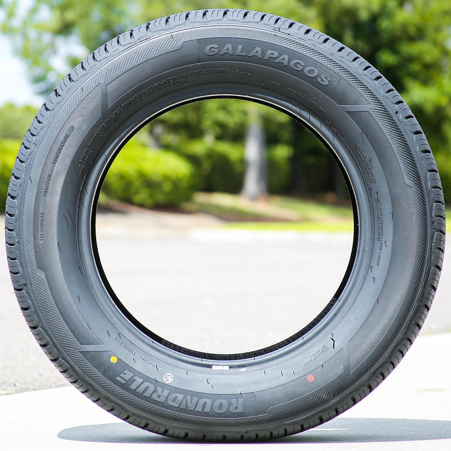 Roundrule Galapagos Truck/SUV All-Weather Performance Radial Tire-265/55R19 265/55/19 265/55-19 109V Load Range SL 4-Ply BSW Black Side Wall