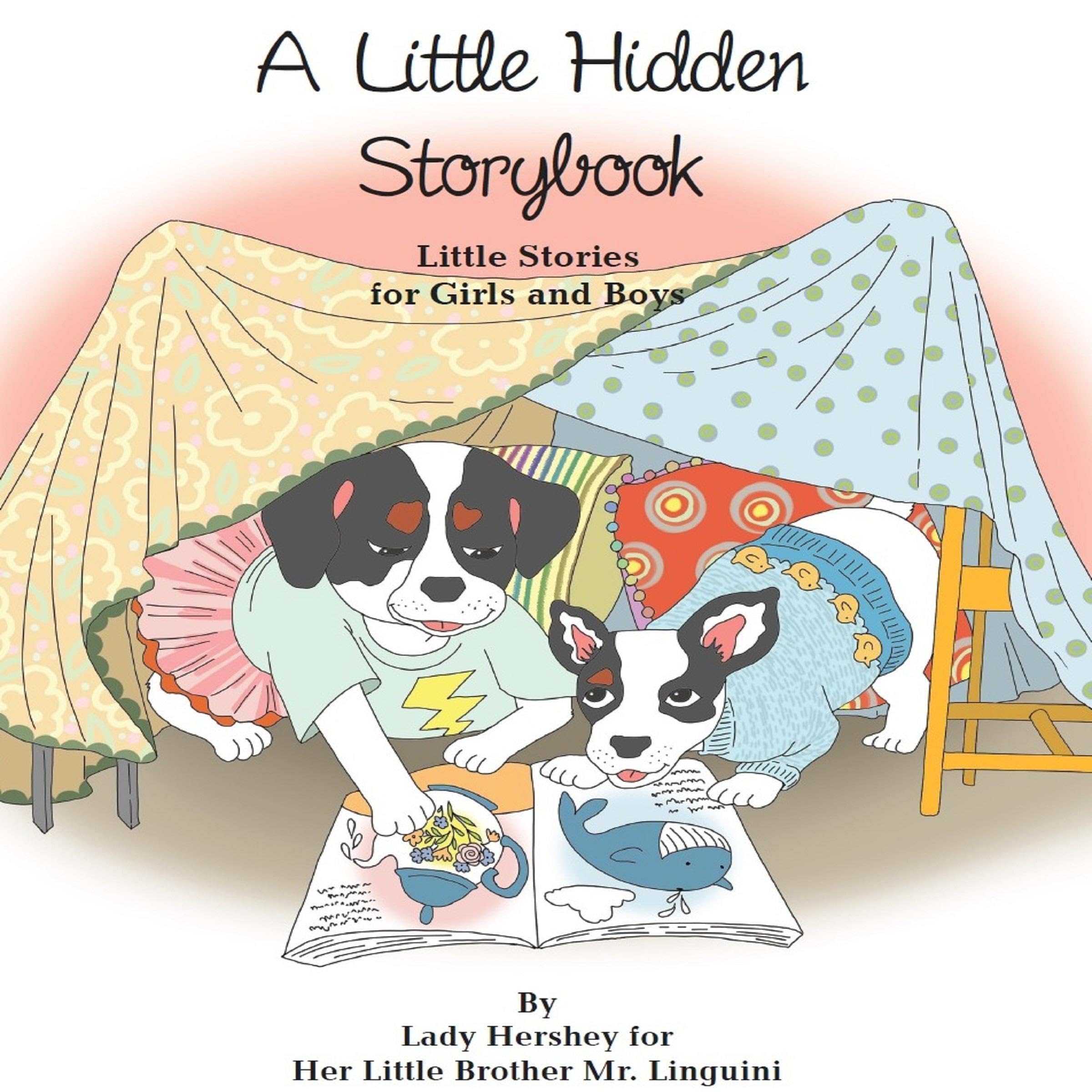 Cover art for A Little Hidden Storybook