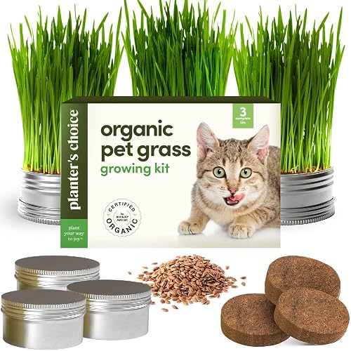 Cat Grass for Indoor Cats Kit - 3 Complete Growing