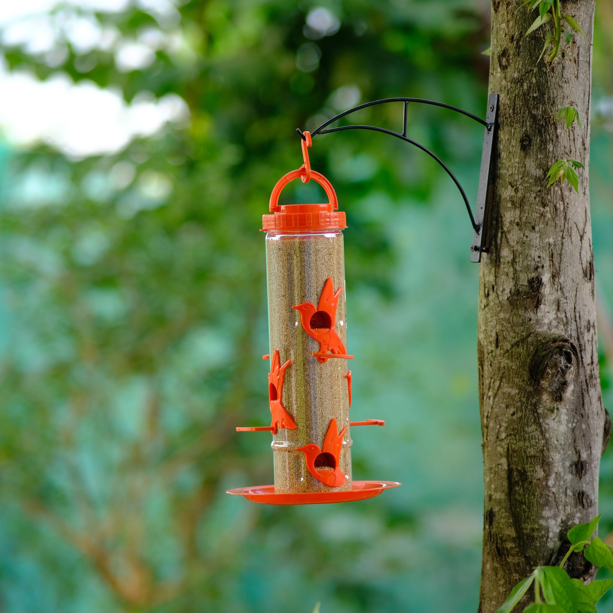 Amijivdaya Hanging Bird Feeder with 6 Feeding Ports | 900g Capacity | Food-Grade Plastic | Durable and Weather-Resistant Design (Orange, 1 Piece) 4