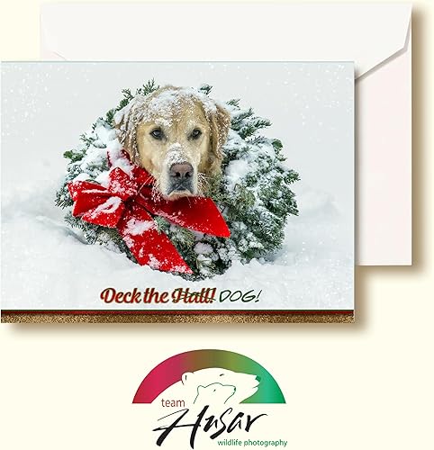 Miniatura 2 de Team Husar Golden Retriever - 15 tarjetas navideñas para perros, 16 sobres blancos (corona de oso - Navidad)