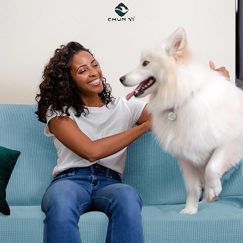 Vista 58 de CHUN YI - Funda de sofá elástica de 4 piezas para sofá de 3 plazas, suave, lavable, con 3 fundas de cojín de asiento separadas para perros, tela