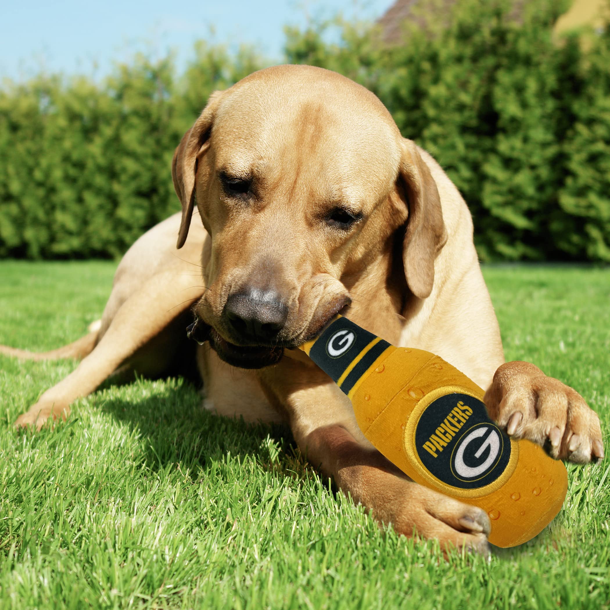 NFL Green Bay Packers - Botella de cerveza de peluche para perros y gatos, juguete de peluche para perros y gatos con chirrido interior y hermoso nombre del equipo de fútbol