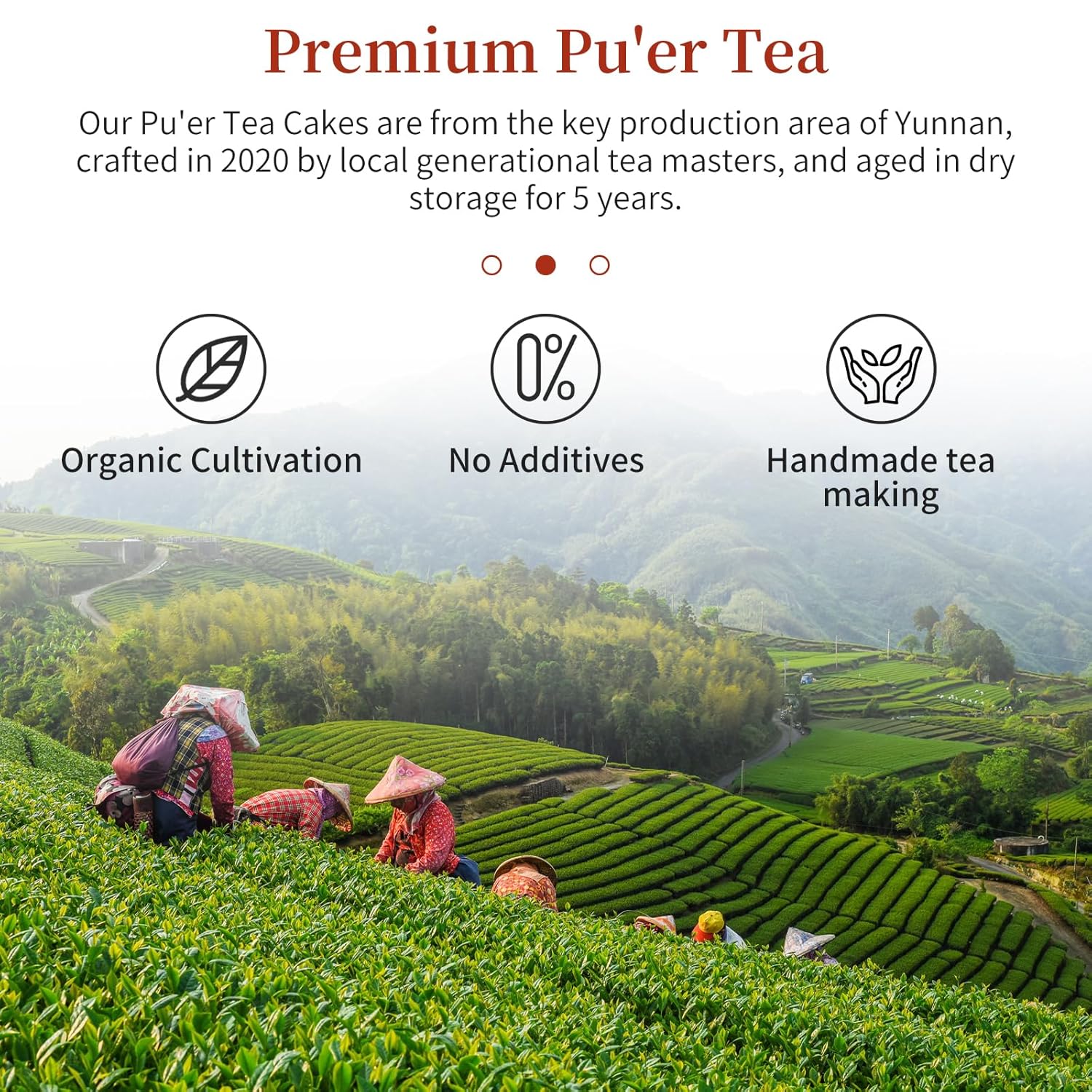 CHADUO Puerh Tea Cake 357g/12.6oz Ripe Pu erh Tea Chinese Fermented Puer Classic Premium Yunnan PuerhTea Aged For 5 Years With Date & Aged Wood Fragrance 普洱茶 熟茶 普洱茶饼 - Image 2