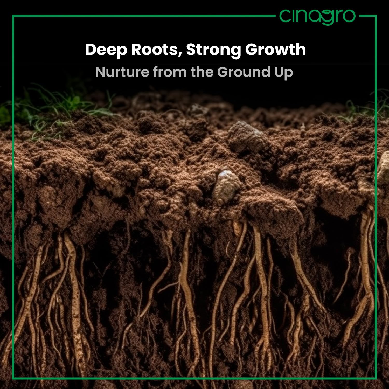 Cinagro Vermicompost 5 Kg, 100% Organic Fertilizer Manure for All Plants 2