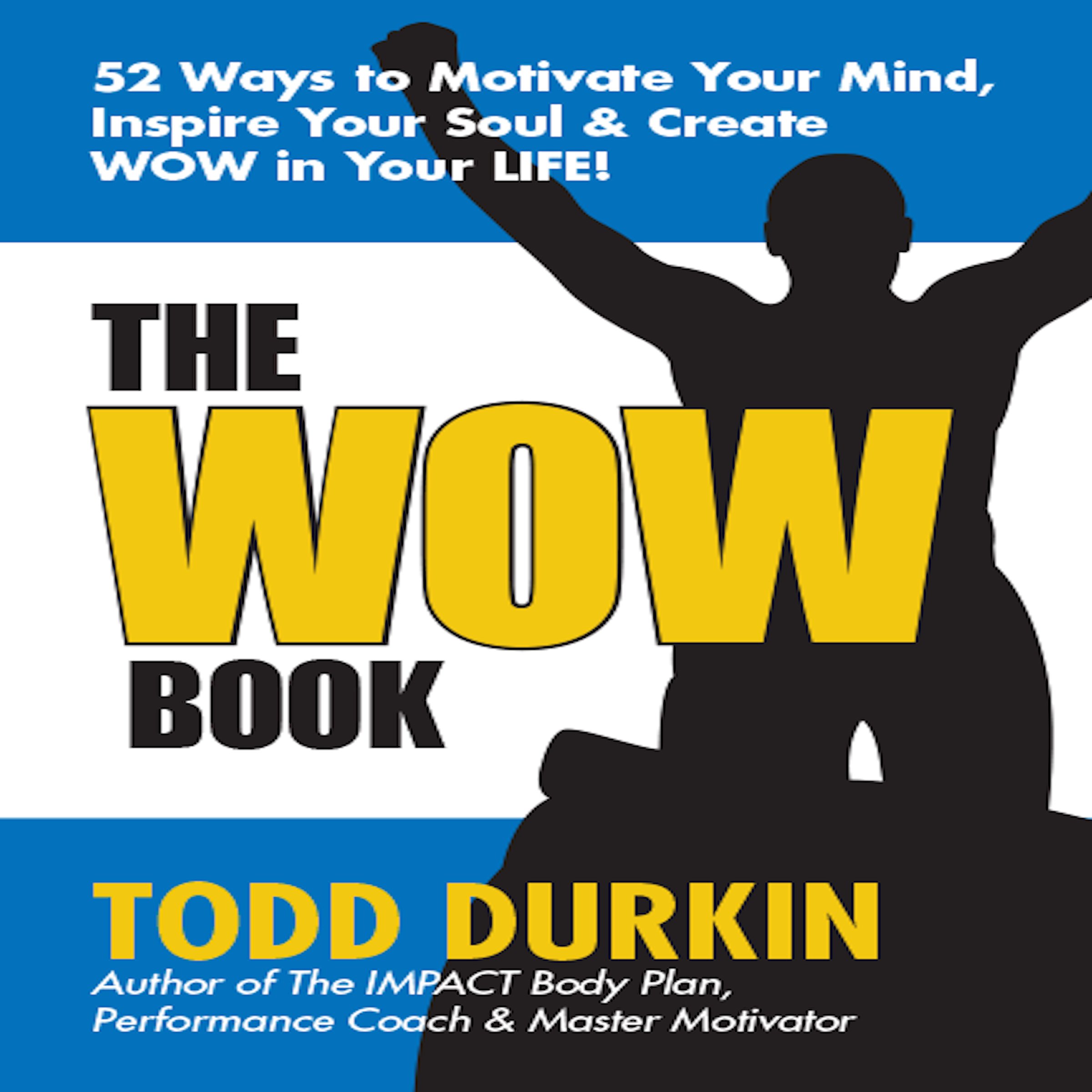 Cover art for The WOW Book
