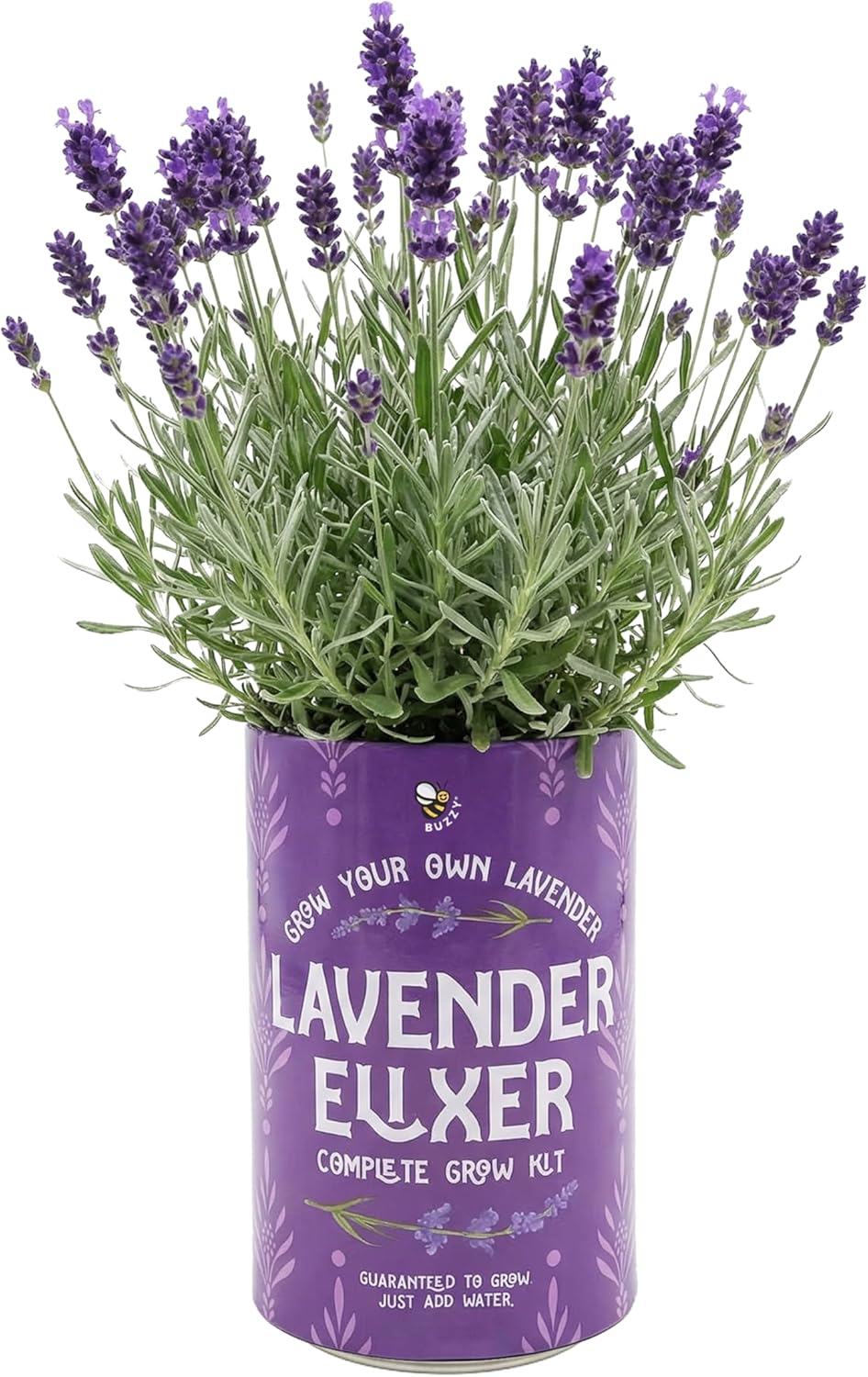 BUZZY Seeds Flower Grow Kit 6-Pack – Pansy, Lavender & Daisy Soda Cans with Seeds, Growing Medium & Liners – Fun DIY Indoor Gardening Party Favors & Gift Set