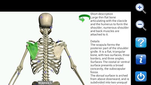 Visual Anatomy Free