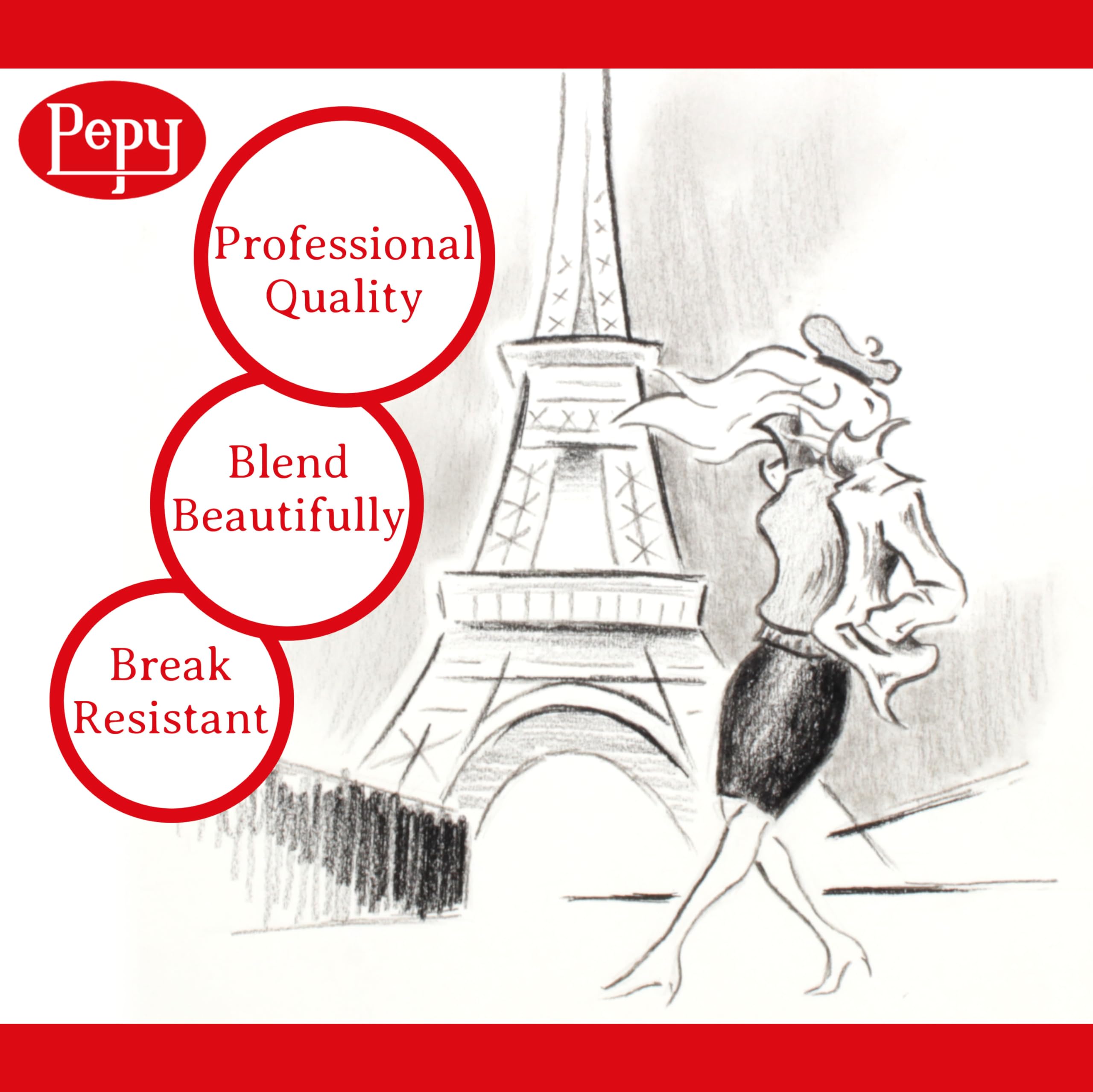 Pepy Professional Hard Charcoal Pencil Set – Set of 6 Pre-Sharpened Black Charcoal Pencils; Perfect for Drawing, Sketching, Blending and Shading