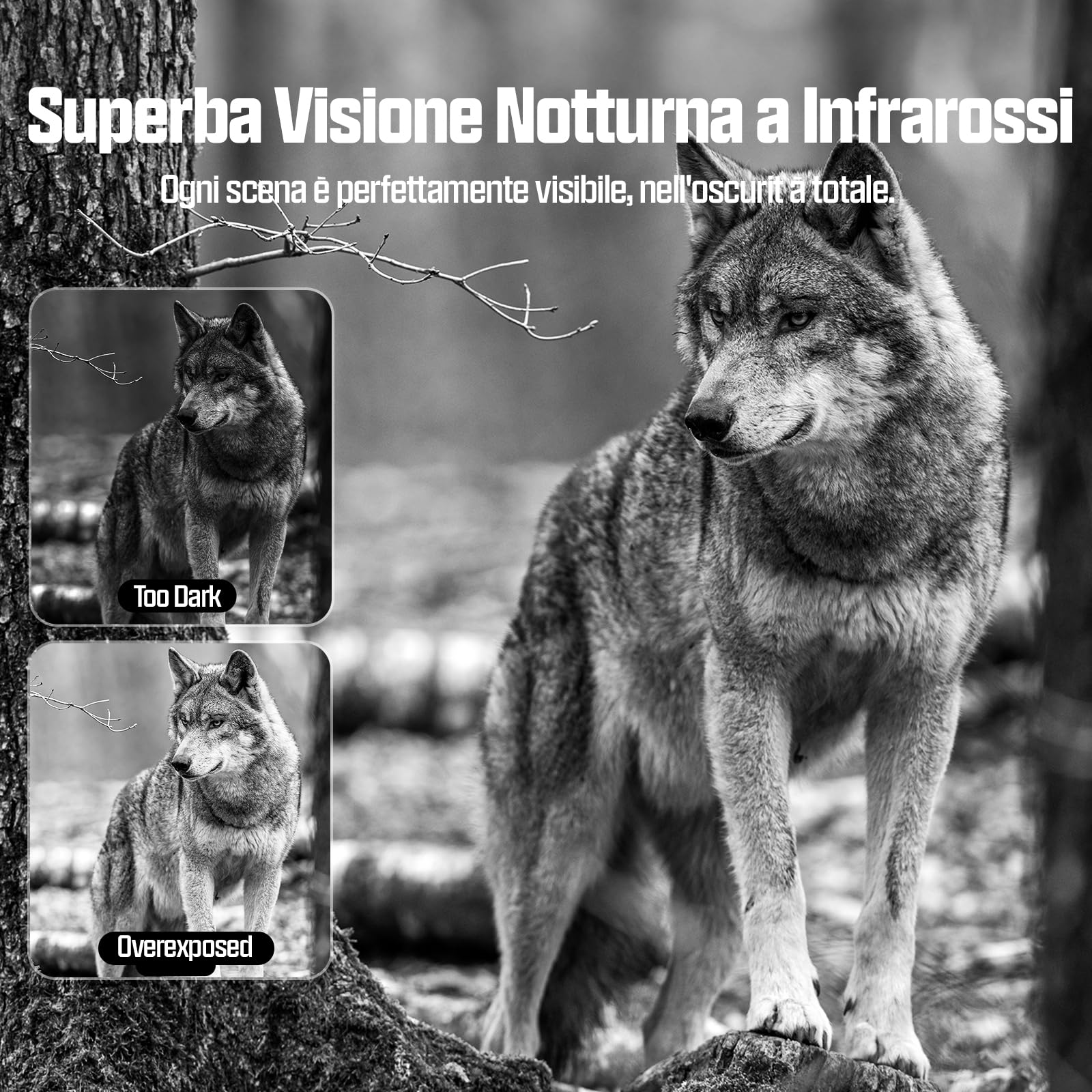 CEYOMUR 4G LTE Fototrappola 2K 48MP con SIM, Sensore di Movimento, Scatto 0,2s, IP66