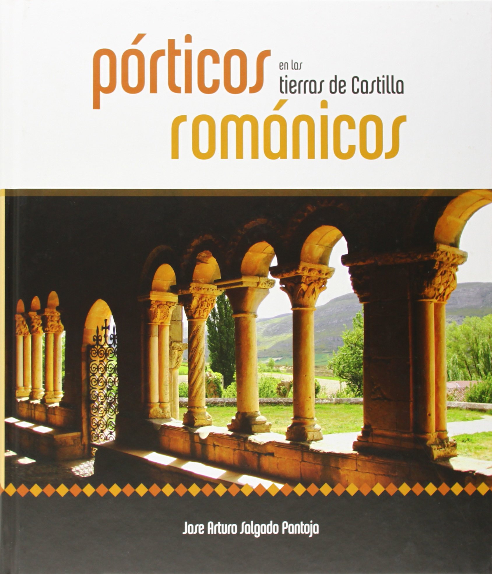 Porticos románicos en las tierras de Castilla (SIN COLECCION)