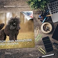 Vista 435 de Razas de Perros 2017