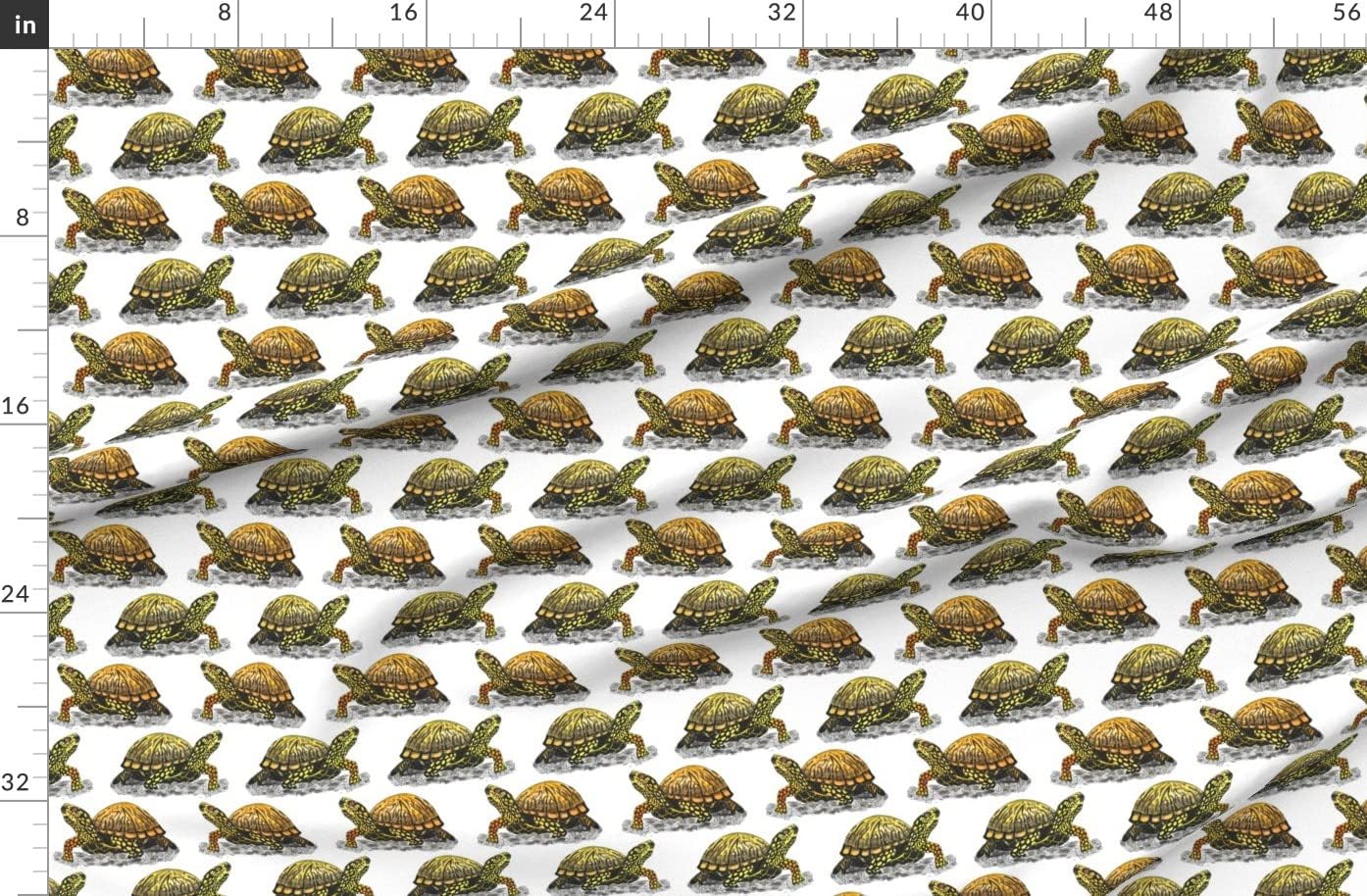 Spoonflower Fabric - Box Turtle Printed on Organic Cotton Sateen Fabric by The Yard - Sewing Quilting Apparel Home Decor