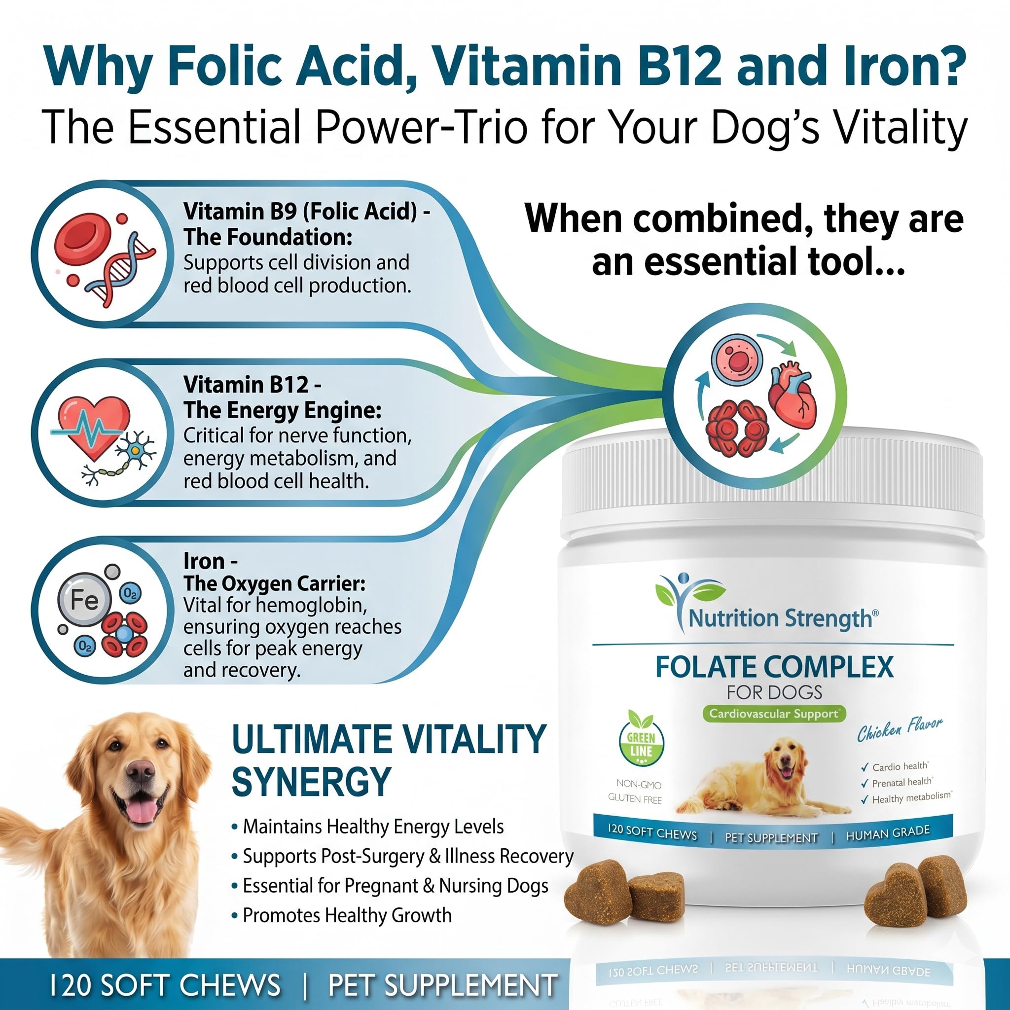 Folate for Dogs to Promote Cardiovascular & Prenatal Health, Support DNA Synthesis & Cell Maintenance, Folic Acid for Dogs with Zinc, Biotin, Iron & Vitamin B12, 120 Soft Chews — Amazon image 3