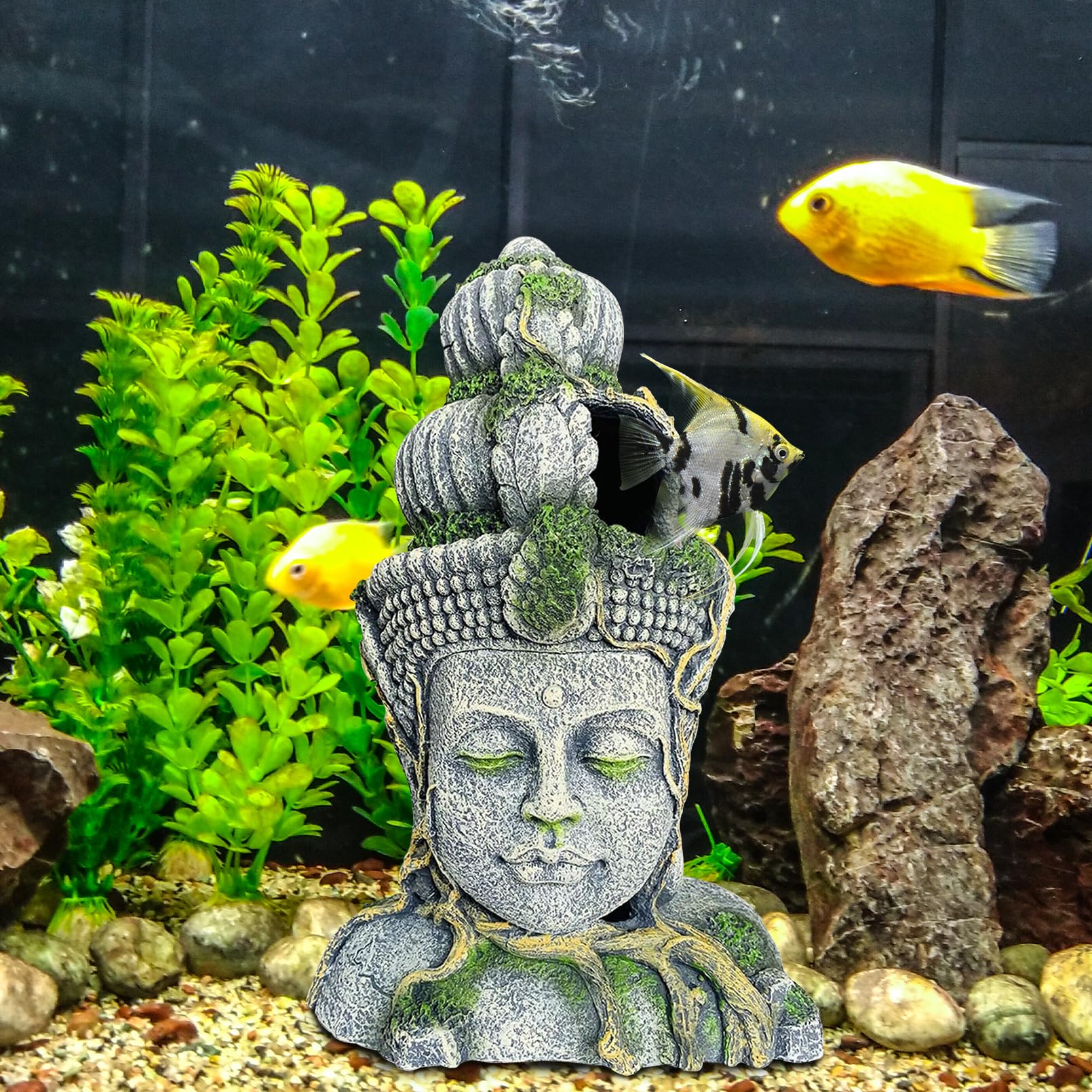 Hamiledyi - Statua a testa di Buddha, decorazione per acquario, in resina, nascondiglio per pesci e grotta di Betta per grandi acquari, ornamenti per dormire, nascondere, razza di gioco