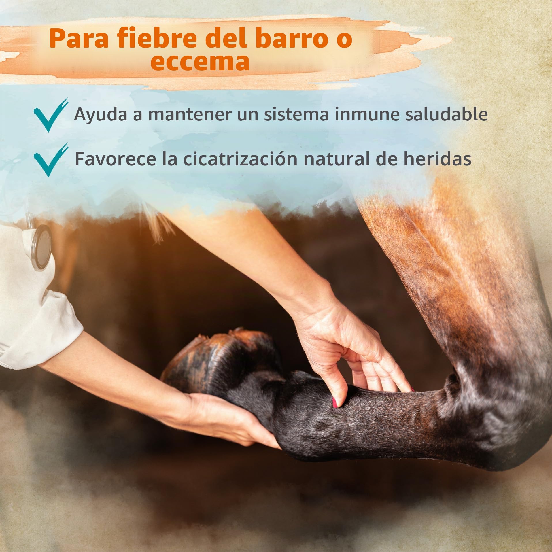Ida Plus Biotina + zinc para caballos, alta dosis, mejora la calidad de pezuña y el crecimiento de pezuñas, ayuda a la piel, el pelaje y el sistema inmunológico, cambio de pelaje, 750 g