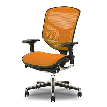 ★エルゴヒューマン オフィスチェア Ergohuman ENJOY エルゴヒューマン Enjoy Ergohuman ハイスペックチェア オフィス