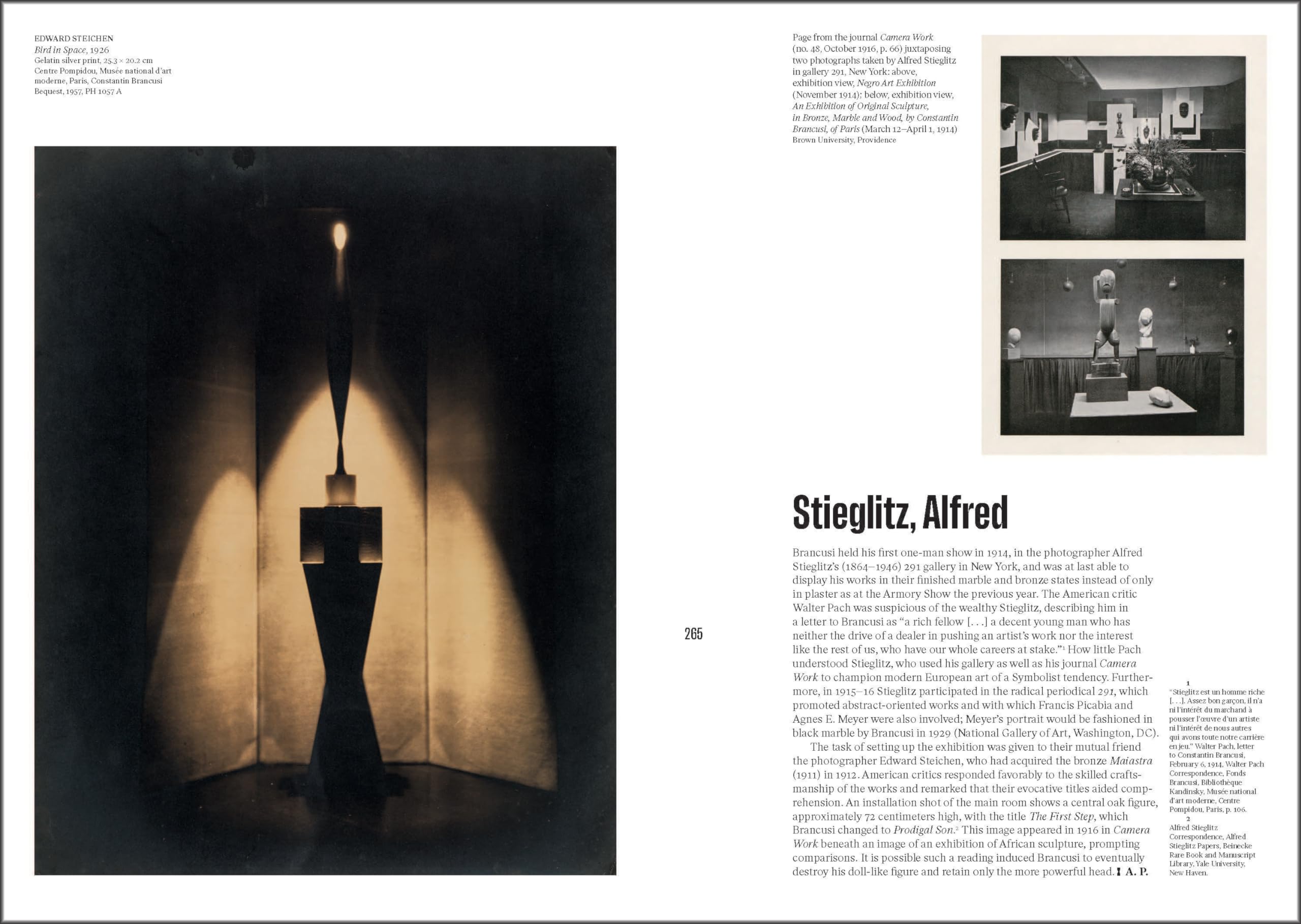 Brancusi: (Published in conjunction with a major exhibition at the Centre Pompidou in Paris)