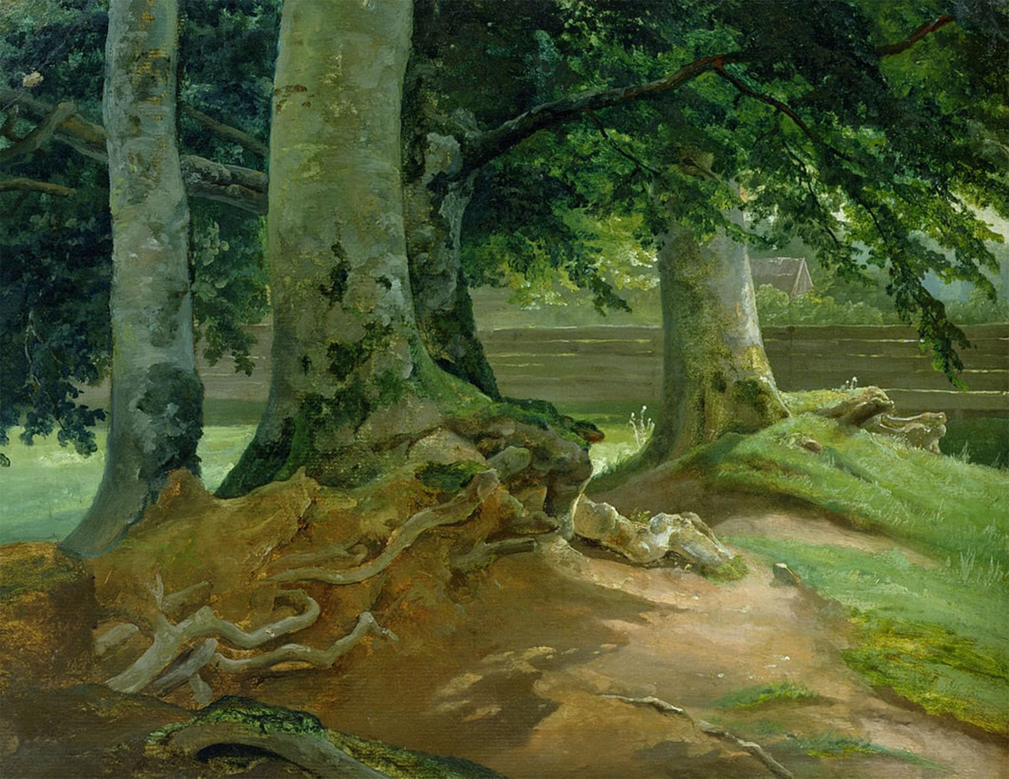 POSTERIIk Famous Print Pop Art Wall Art Graffiti Beech Trees in Frederiksdal Near Copenhagen by Christian Ernst Bernhard Morgenstern Art Prints for Home Decor 60x90cm