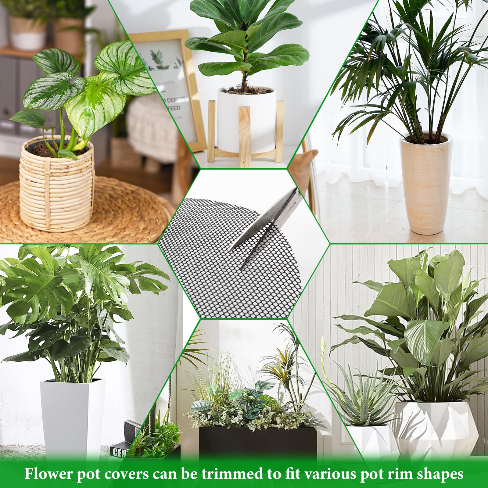 Lot de 10 grilles de jardinières avec 20 piquets - Cache-sol découpables pour protéger contre les animaux - Protection du sol pour l'intérieur - Pour balcon OGarden (40 x 40 cm)