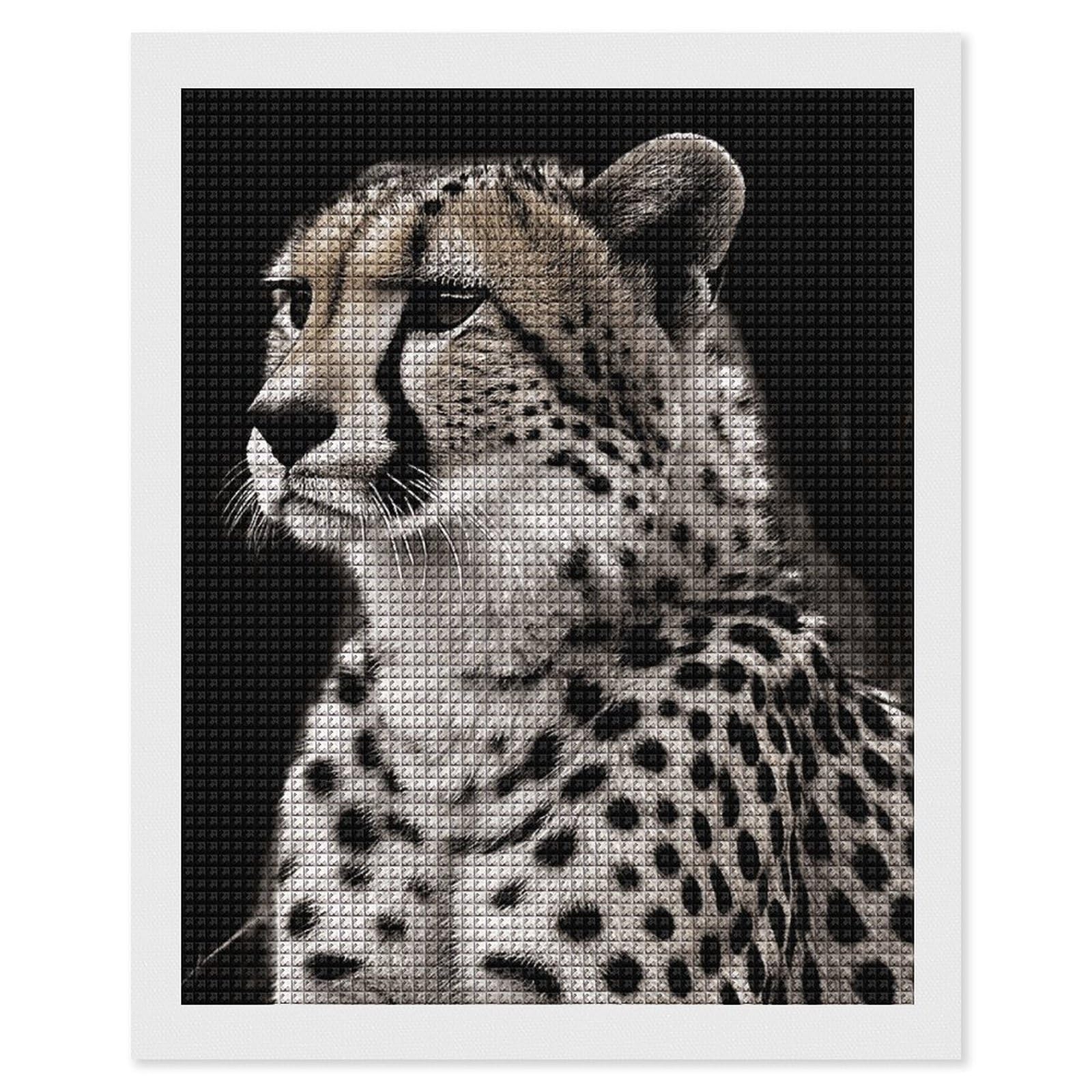 FodPand Cheetah 5D Diamond Painting Kits for Adults Beginners Full Drill Square Diamond Dots Pictures Gem Art Supplies for Home Wall Room Decoration DIY Craft Set Gift 16x20
