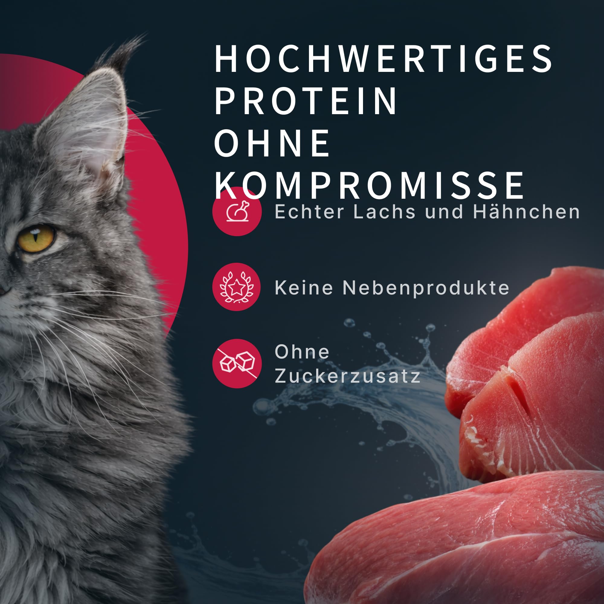 Katzenfutter Nass Mousse Rind Thunfisch Unterstützung Gelenke (55g x 12Pack