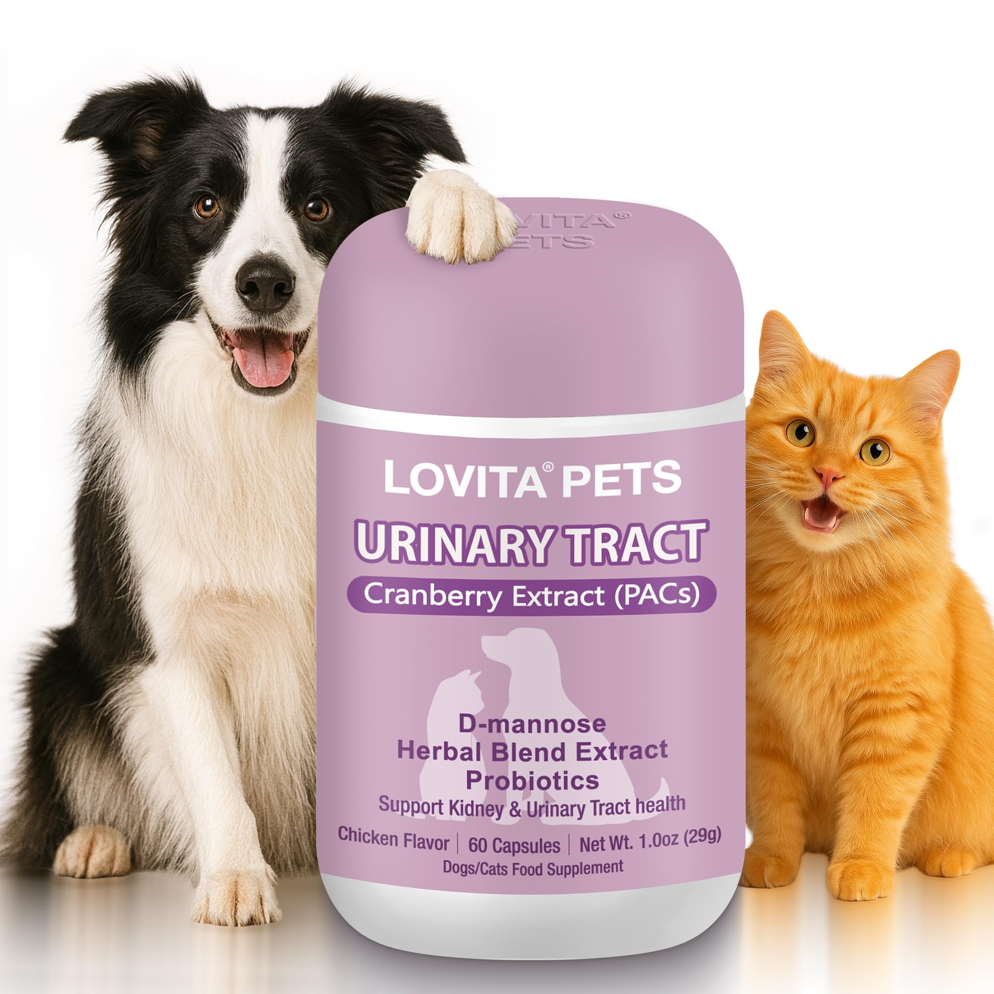 LOVITA Pets Urinary Tract Support for Dogs & Cats, with Cranberry Extract (PACs), D-Mannose and Probiotics, Daily Urinary Health Supplement, 60 Capsules