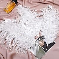 Vista 7 de 24 piezas de plumas de avestruz blanco natural de 10-12 pulgadas (25-30cm) para centros de mesa de bodas y fiestas, arreglos florales y decoración