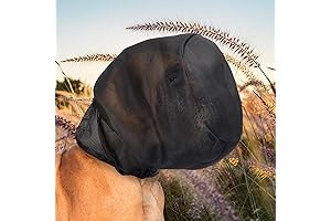 Outfox Dog Mask: Thorns, Rocks, Insects Protection