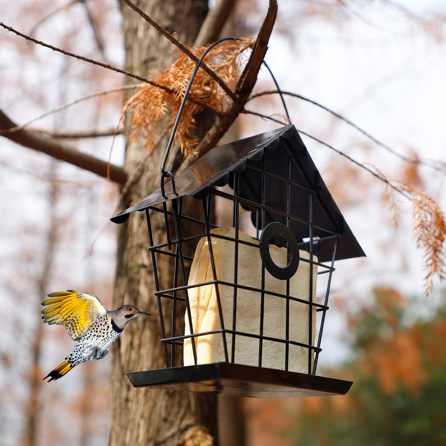 FORUP Suet Bird Feeder, Hanging Suet Feeder for Outside, Single Suet Cake Wild Bird Feeder with Hanging Metal Roof