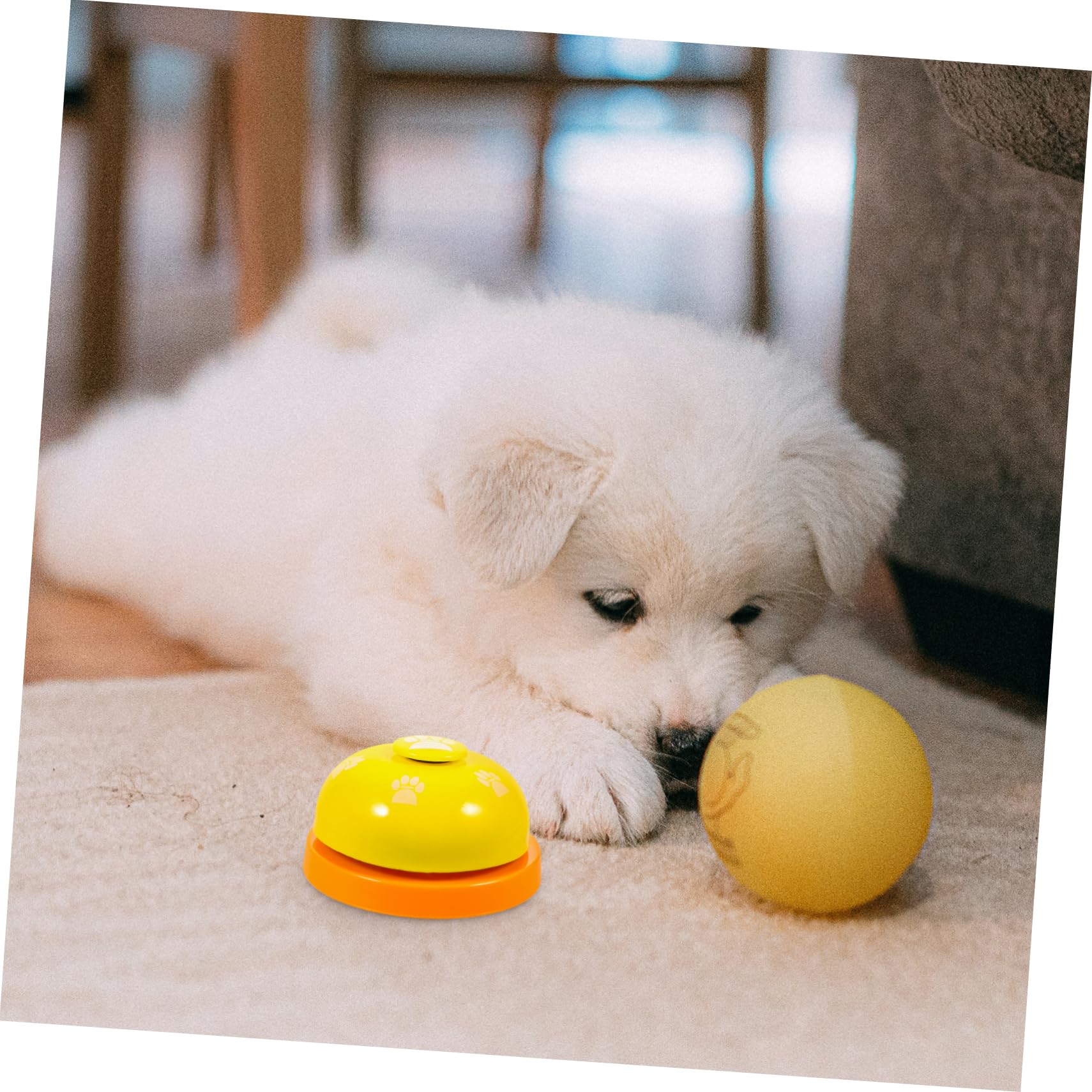 HAPINARY Pet Training Bells Dog Doorbells Training Toy Pet Training Bell by Bell Print Pet Training Press Bell