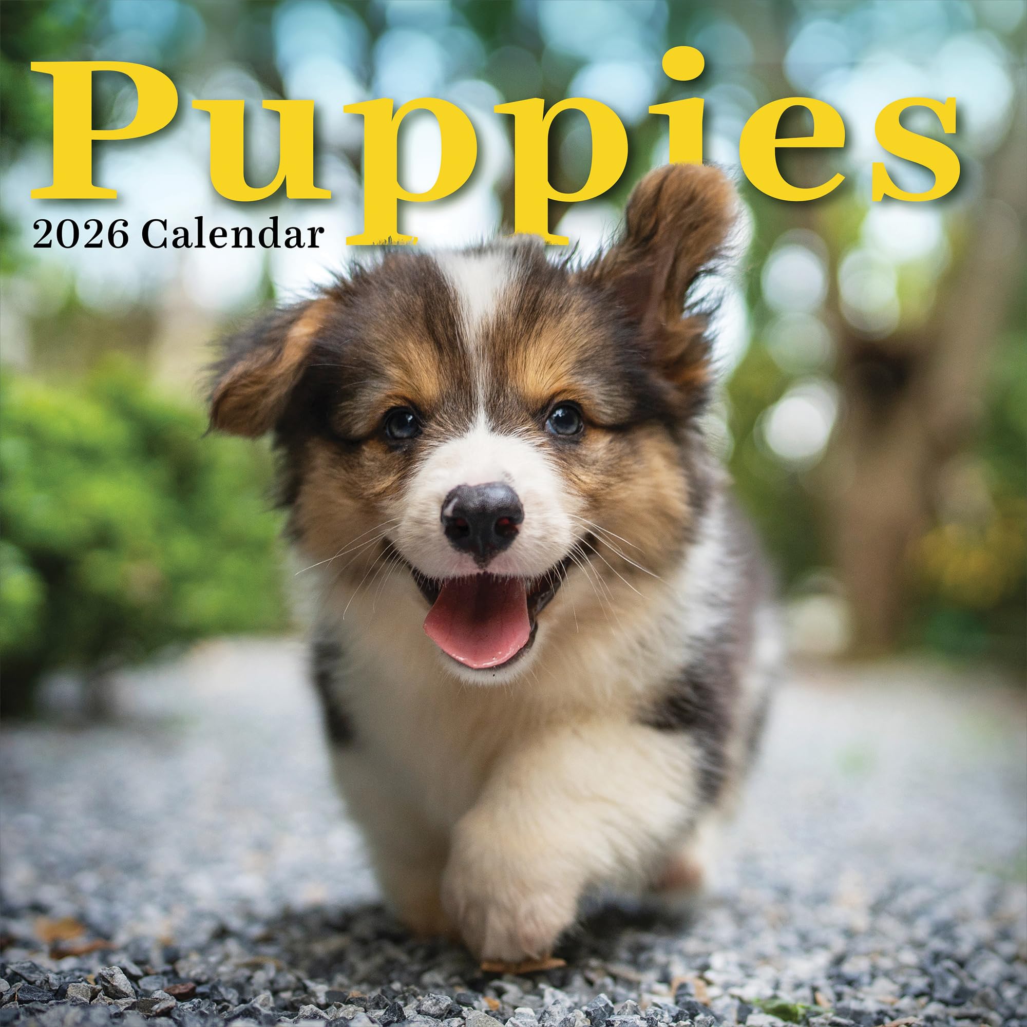 TF Publishing 2026 Puppies Wall Calendar - Large Grids for Appointments and Scheduling - Vertical Monthly Wall Calendar 2026 with Premium Gloss Paper for Home and Office Organization - 12in x 12in