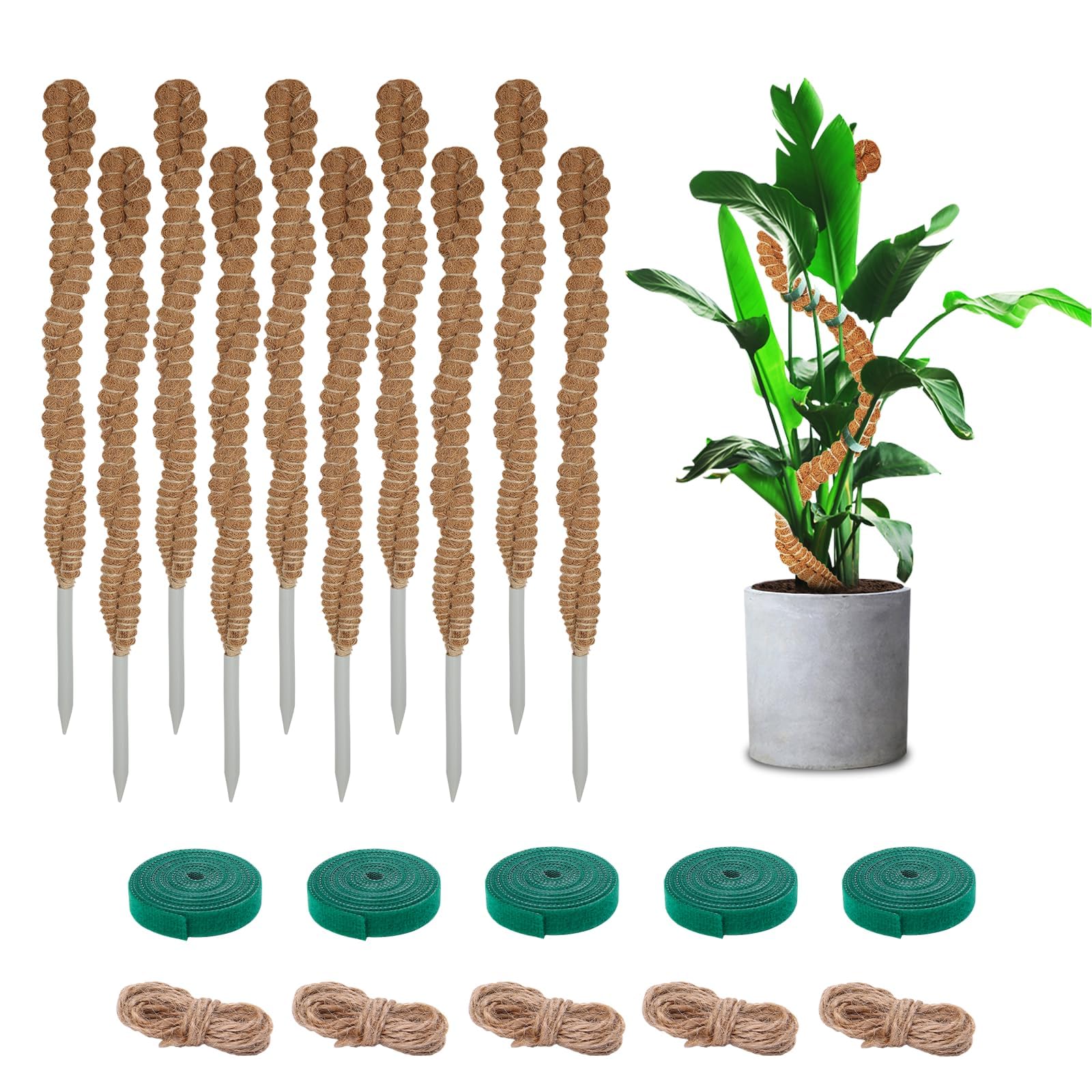 Lot de 10 poteaux en mousse pour plantes grimpantes – Piquets flexibles de 63,5 cm pour plantes grimpantes – Support de plante en fibre de coco fait à la main pour plantes grimpantes