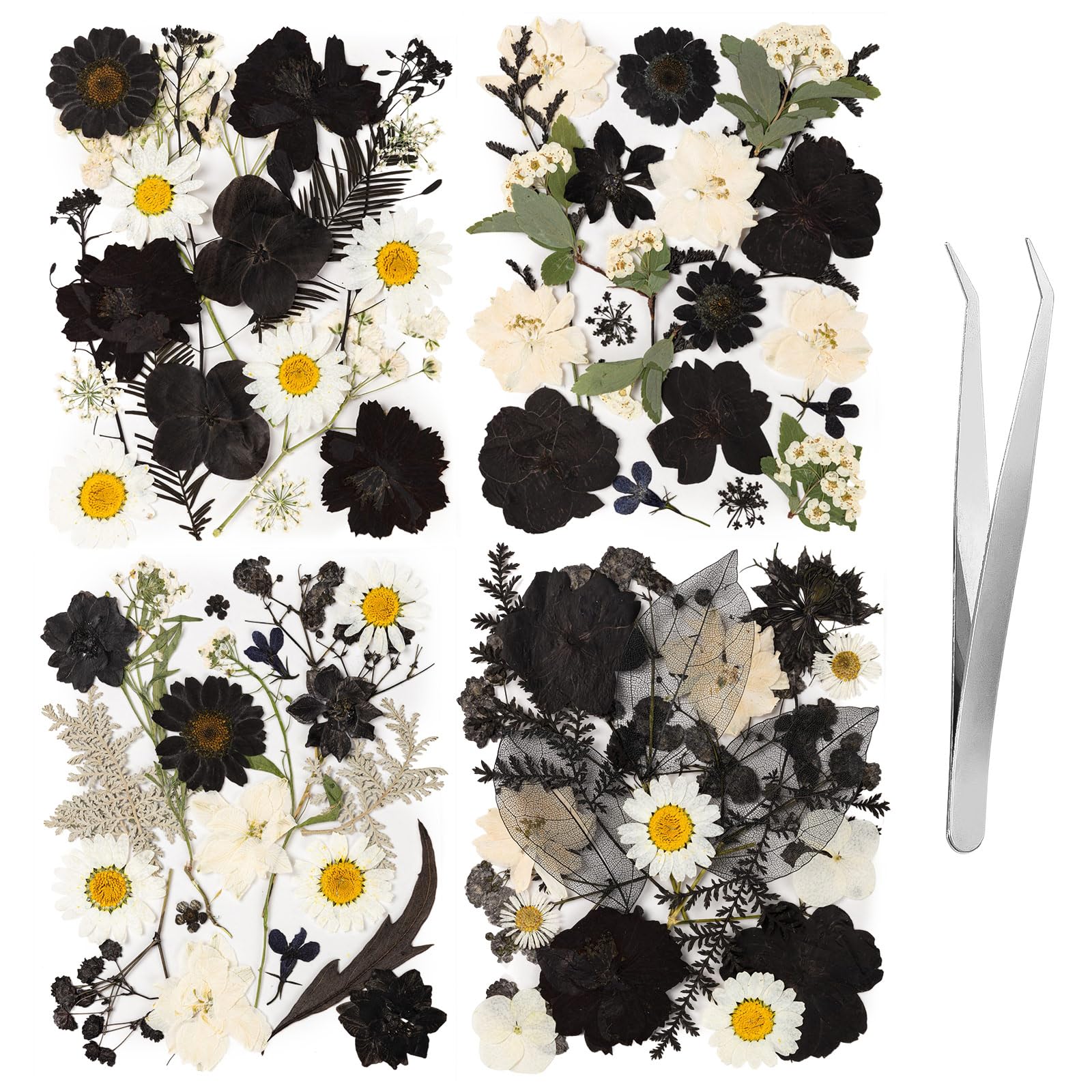 78 Pcs Black and White Dried Pressed Flowers with Tweezer, Halloween Themed Real Dried Flowers Leaves for DIY Crafts Resin Molds, Dried Flowers for