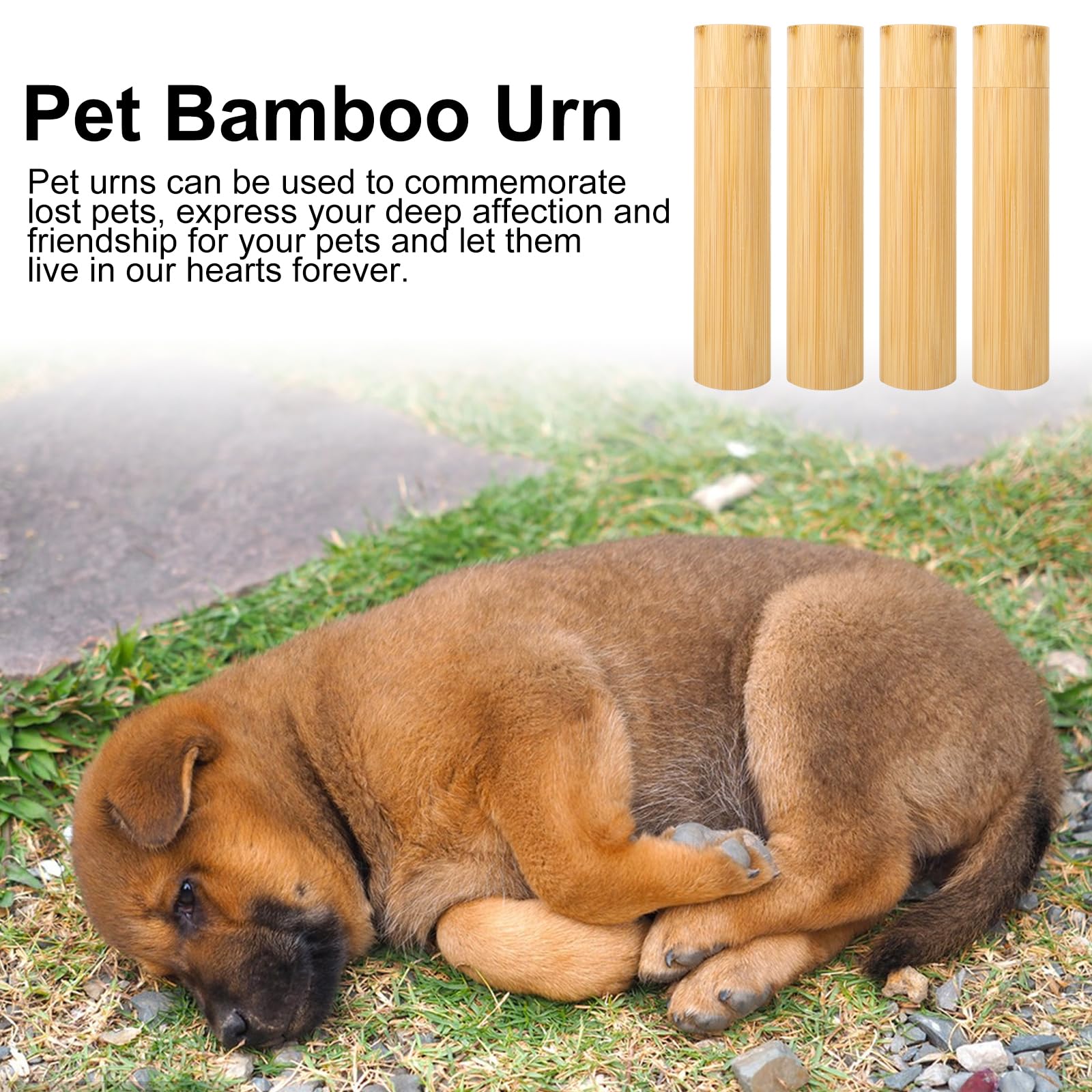 Urna de dispersión de bambú ecológico, tubo de dispersión biodegradable para cenizas, urna de cremación para adultos, urnas biodegradables ecológicas para cenizas humanas y mascotas (juego de 4)
