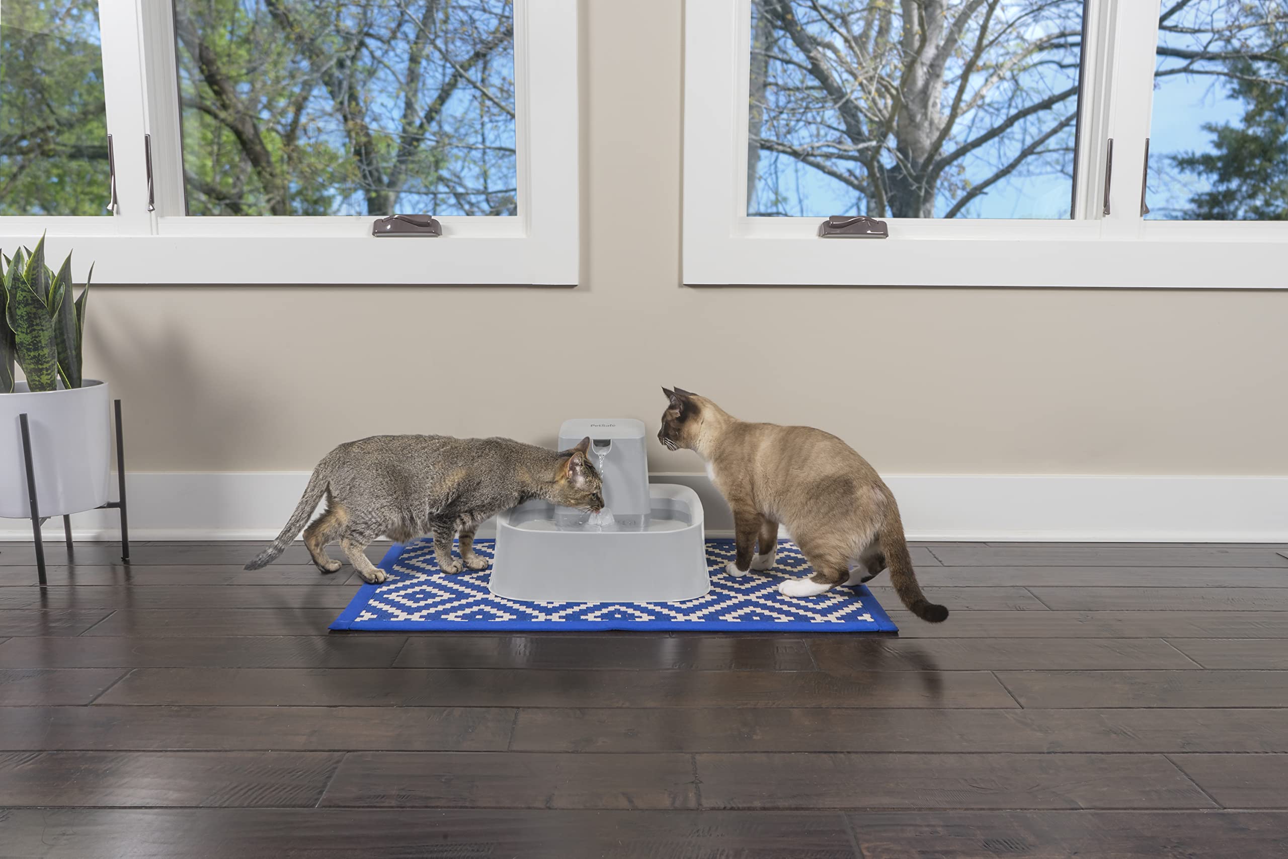 PetSafe Drinkwell Fontaine, 7,6L