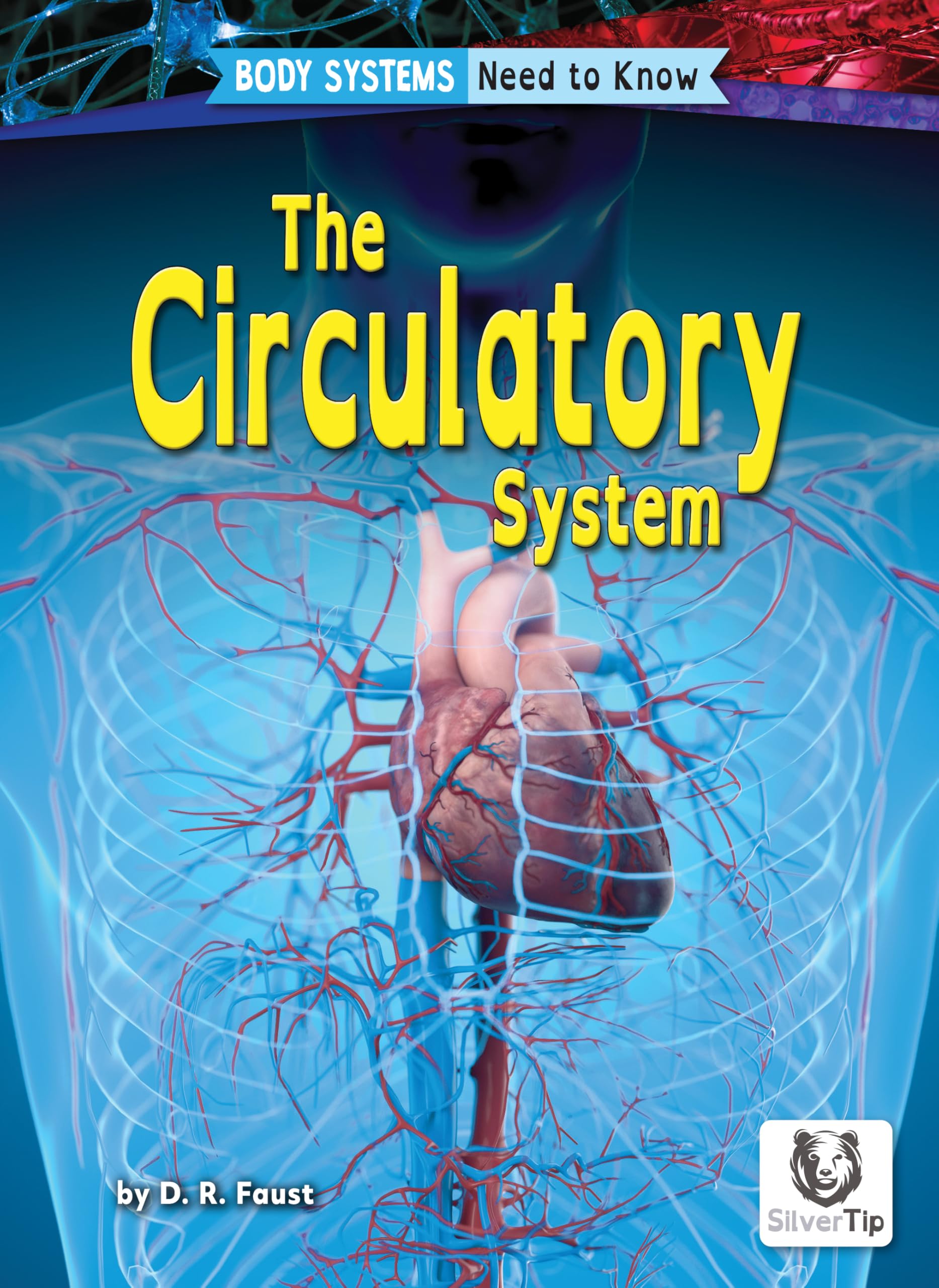Circulatory System (Body Systems : Need to Know)