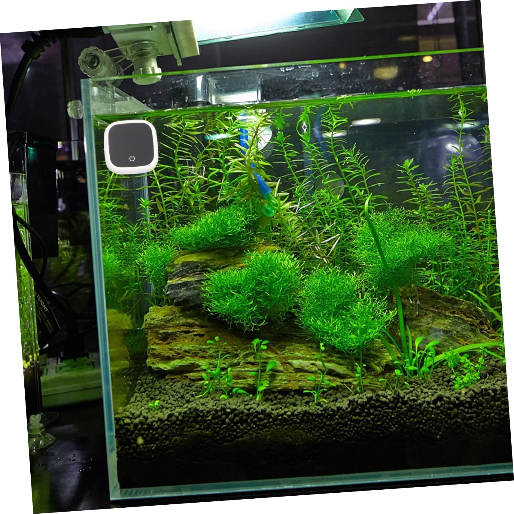 Happyyami 5stücke Aquarium Thermometer Digitales Externes Wasserthermometer Mit Hochauflösendem -display Für Präzise Temperaturmessung Im Terrarium Und Fischbecken Sorgt Für