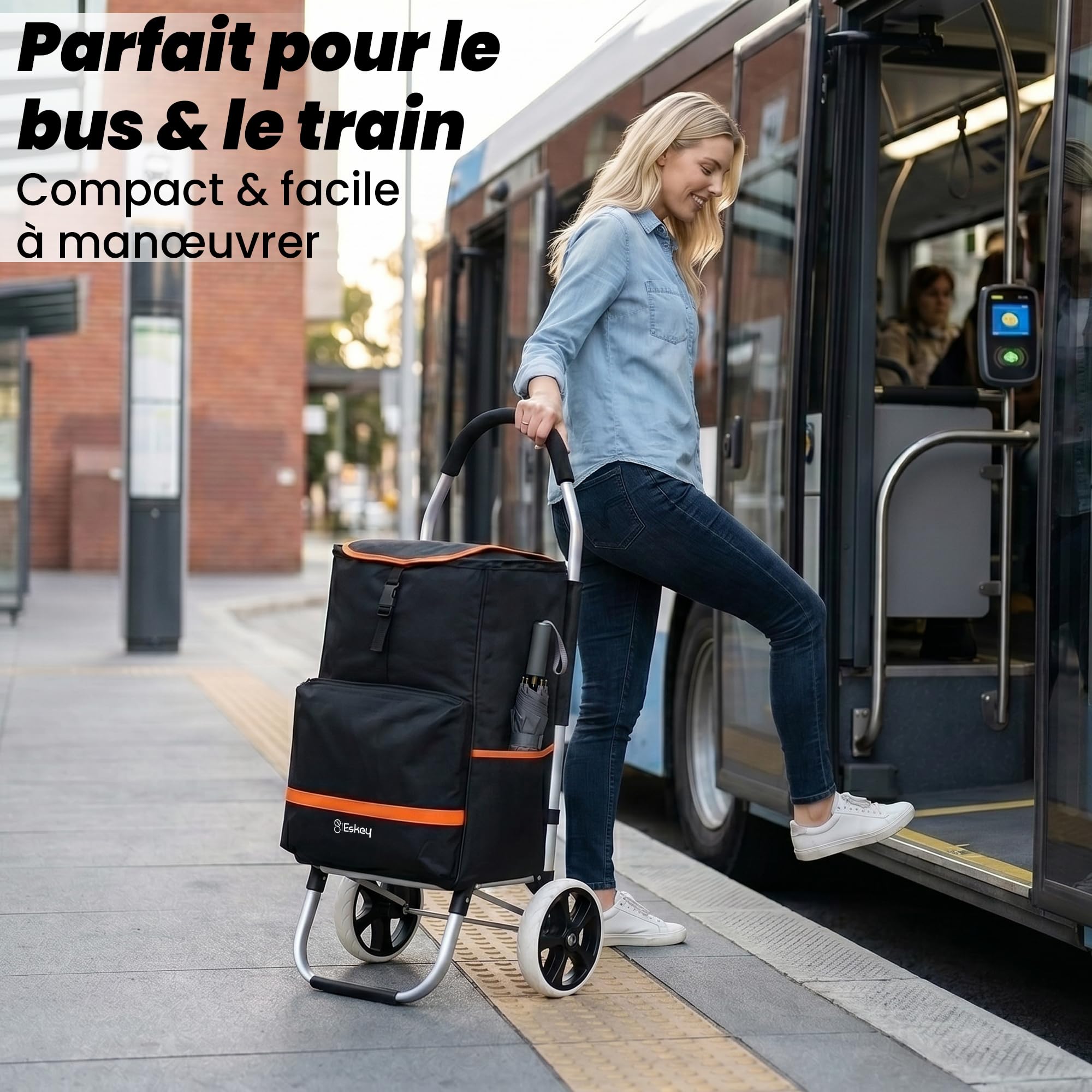 Eskey Carrito de la Compra con Compartimento Isotérmico, Plegable
