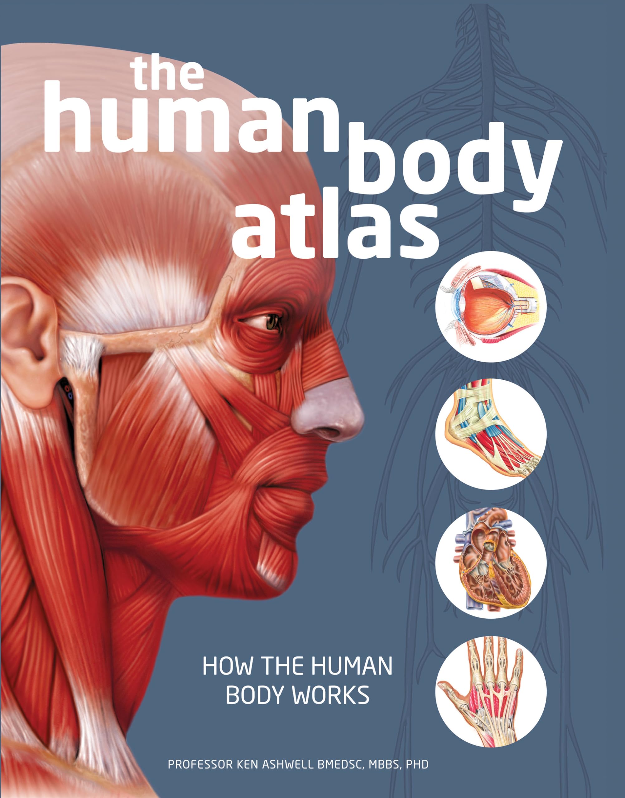 洋書 Body Atlas (Vietnamese book) 洋書 Body Atlas (Vietnamese book) 洋書 Body Atlas