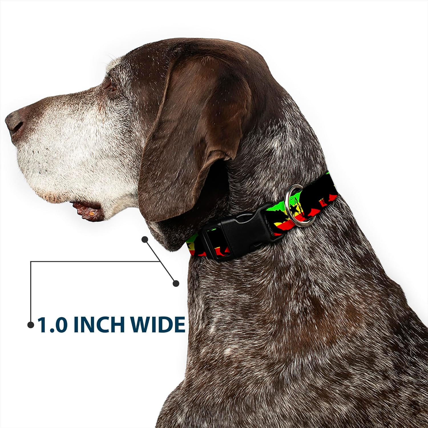 Buckle-Down Cali Bear/Star Silhouette Rasta/Black Plastic Clip Collar, 1.5" Wide-Fits 18-32" Neck-Large