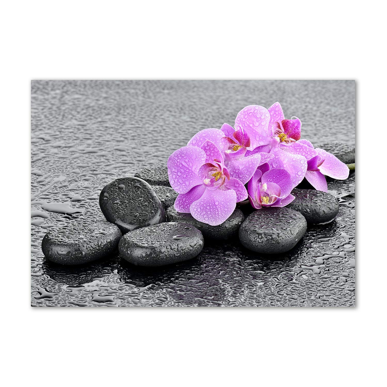 Image en verre acrylique orchidée et pierres rose Tulup tableau mural
