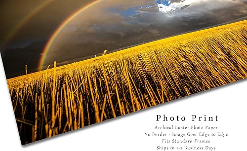 Miniatura 2 de Great Plains Photography Print (Not Framed) Picture of Double Rainbow Over Golden Wheat Field on Stormy Spring Day in Kansas Western Sky Wall Art