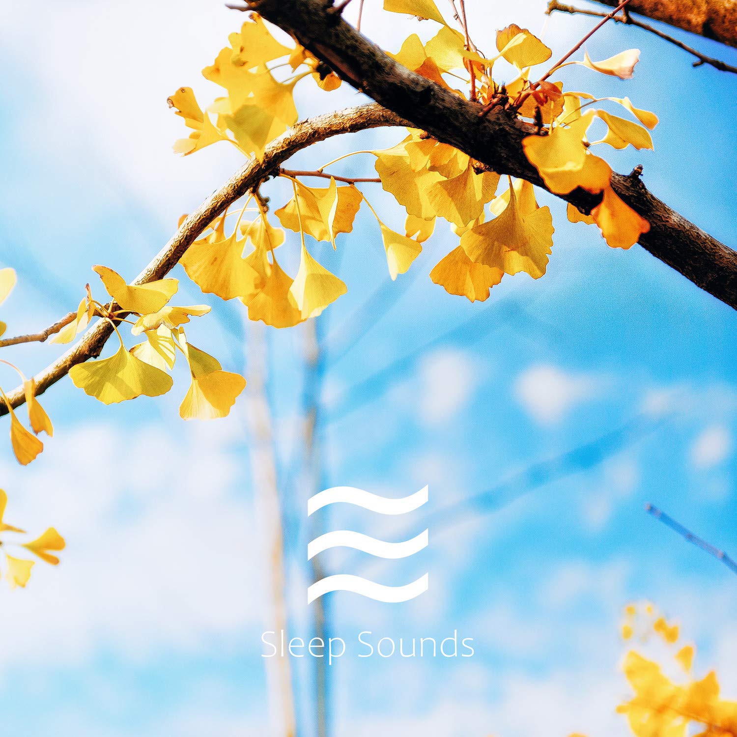 Baby Shusher Looped White Noise