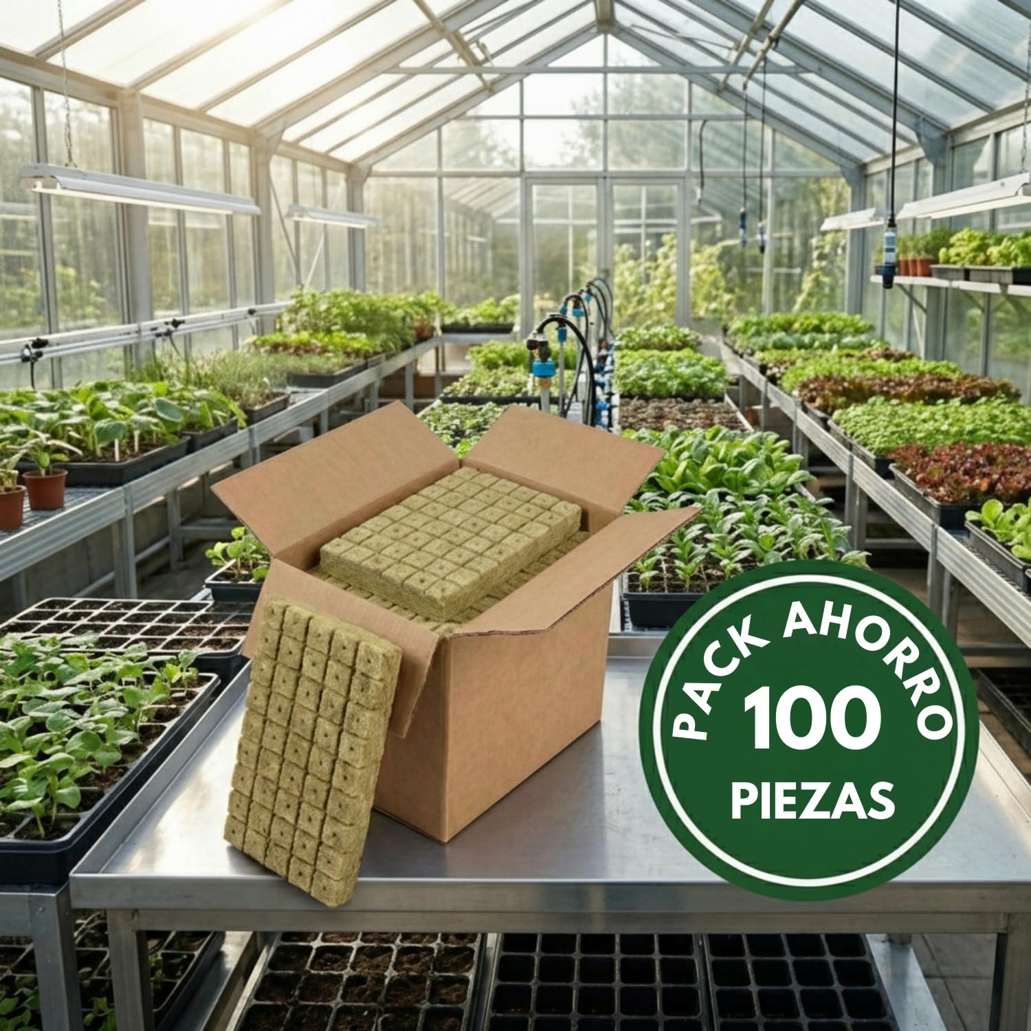 Lote de 100 Cubos de Lana de Roca Hidropónica (2,5 cm) para Germinación y Esquejes, Substrato Aireado Que Favorece el Crecimiento Rápido, Ideal para Semillas, Jardines Interiores y Exteriores