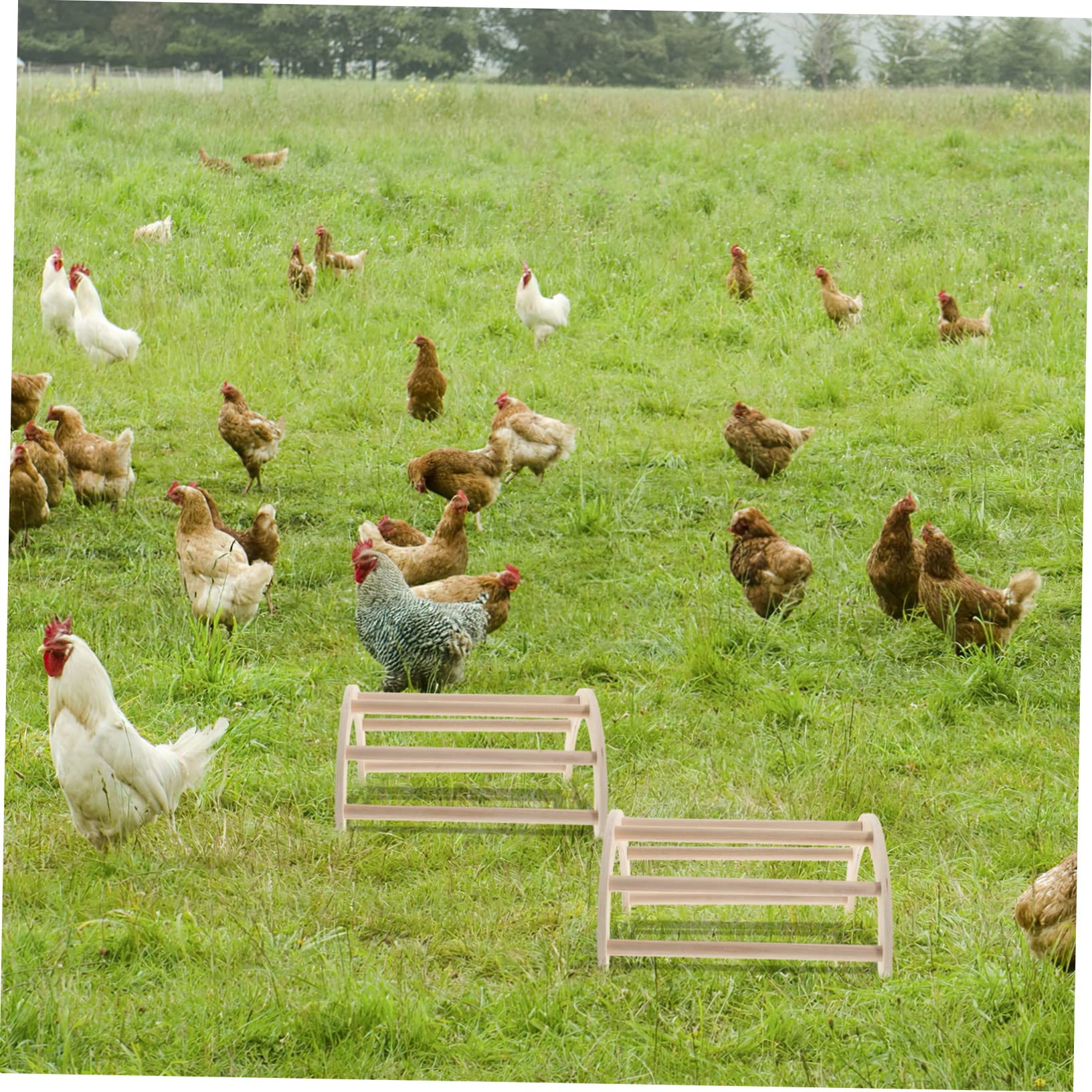 Amazon.co.jp: BESPORTBLE 鶏用木製スタンド 鳥の止まり木 鶏の木製