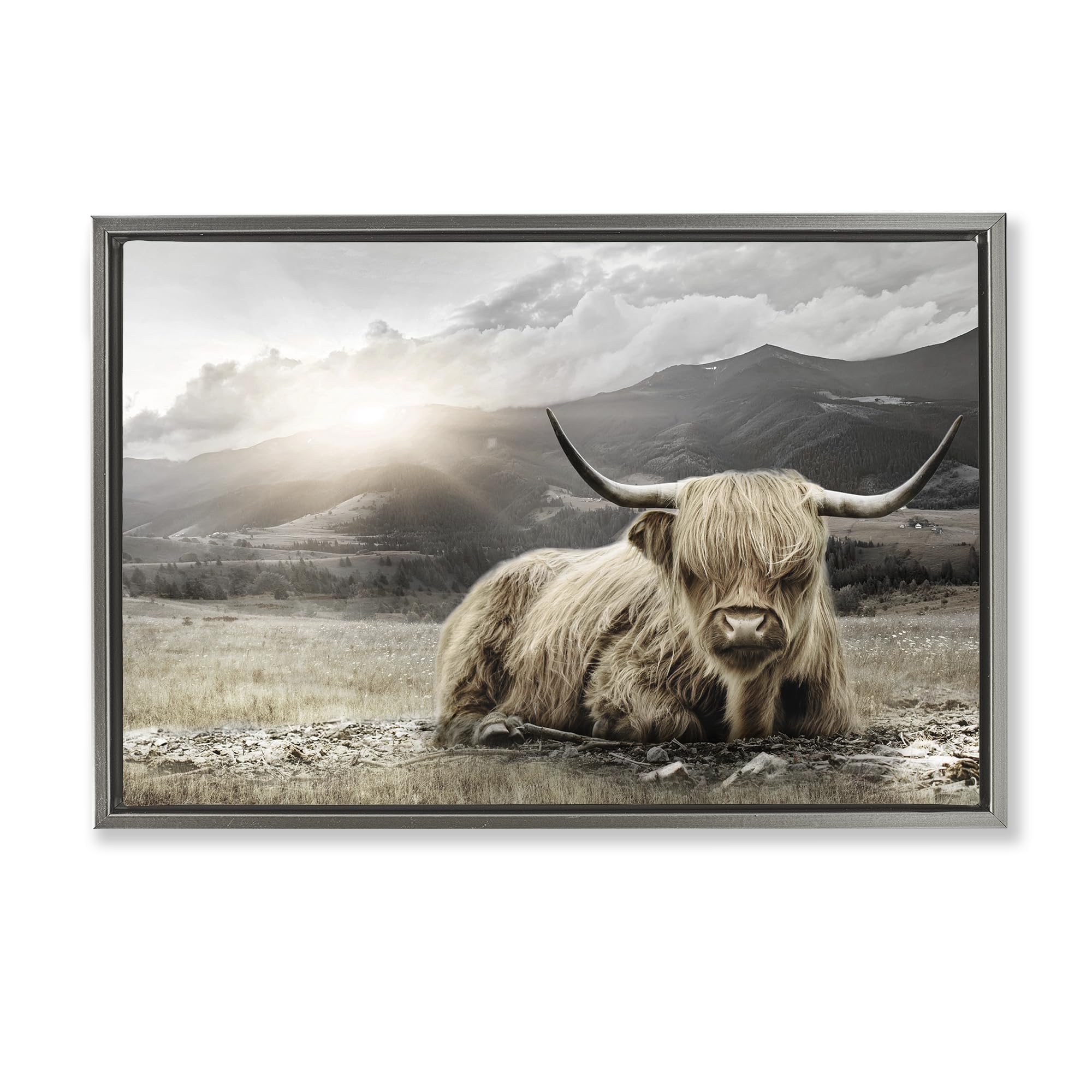 'Cattle Resting in Morning Sun'| Floating Frame Canvas Art