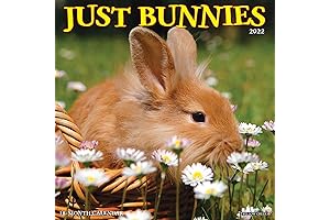 2022 Wall Calendar Featuring Adorable Bunny Photos