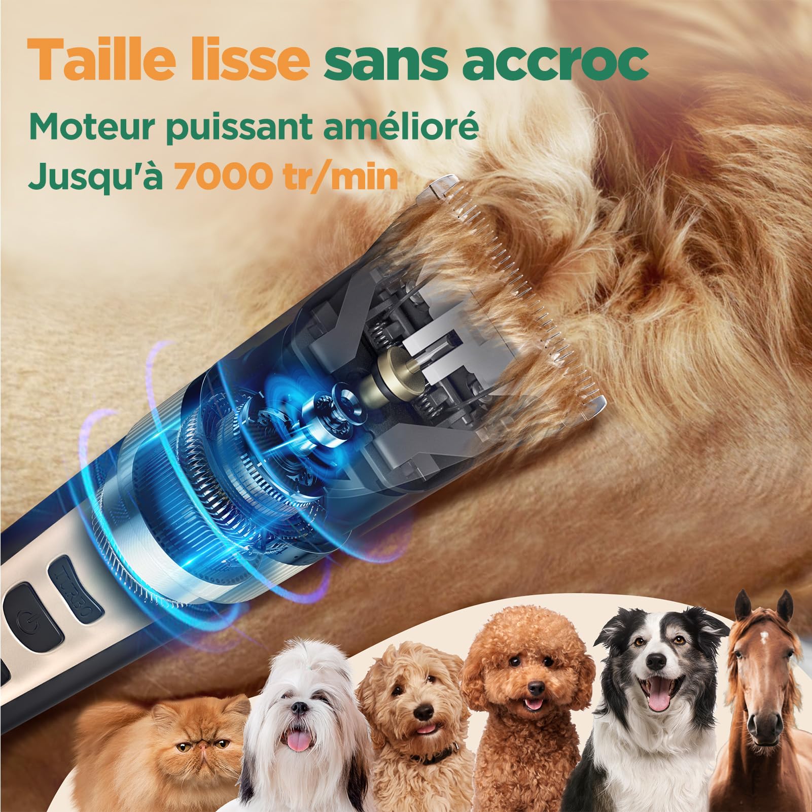 Gimars 3 en 1 Tondeuse Chien Professionnelle 4 Vitesses 7000 RPM, Tondeuse pour Chien Poil Long Epais Silencieuse, Animaux Rechargeable Sans Fil pour Chats et Chiens