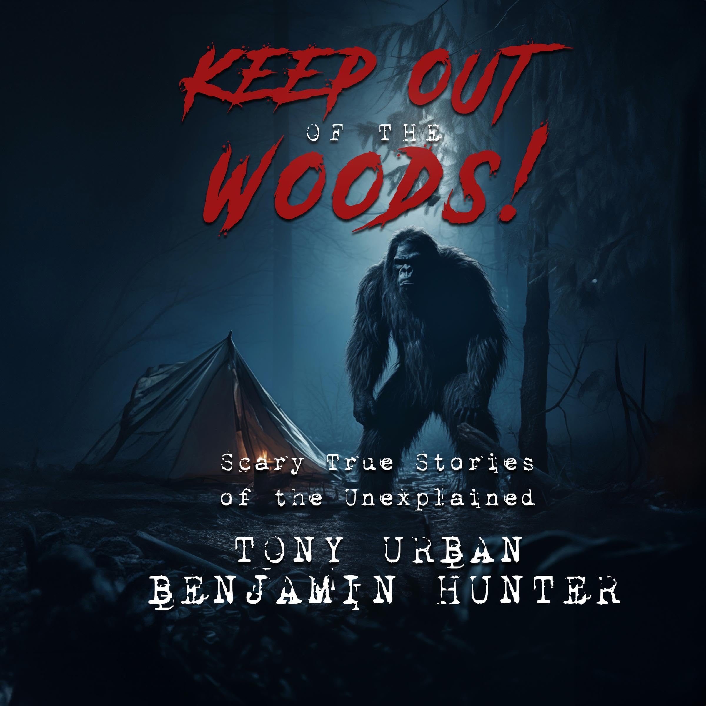 Keep Out of the Woods!: Scary True Stories of the Unexplained